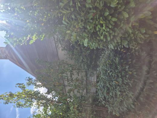 Tweede alternatieve foto van het pand