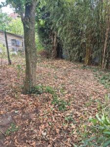 Eerste alternatieve foto van het pand