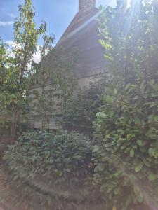 Tweede alternatieve foto van het pand