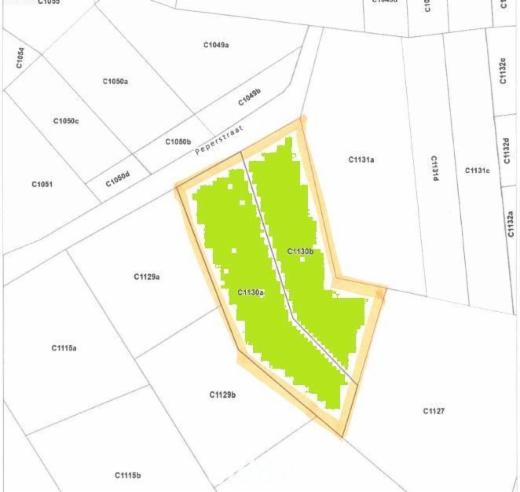 Presentatiebeeld van het pand n° 290399