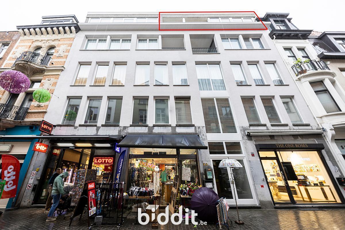 Presentatiebeeld van het pand n° 298839