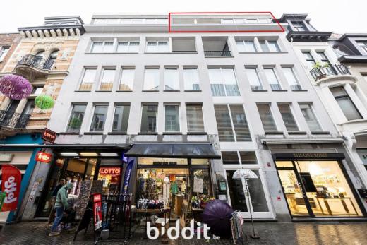 Presentatiebeeld van het pand n° 298839