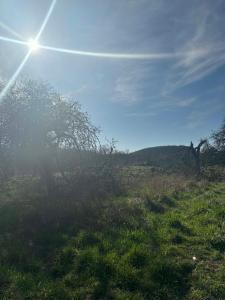 Eerste alternatieve foto van het pand