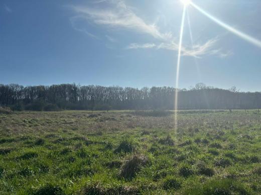 Tweede alternatieve foto van het pand