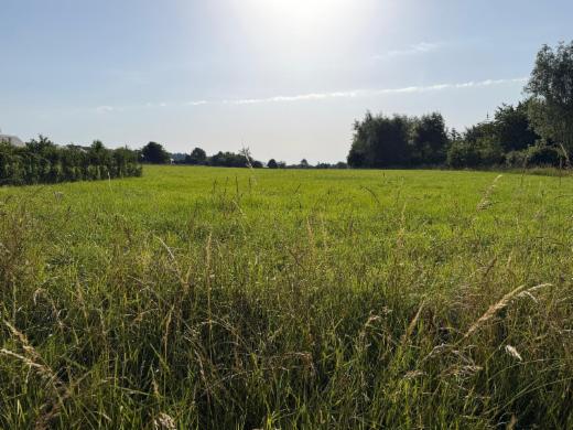 Presentatiebeeld van het pand n° 298155
