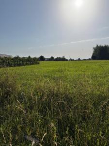 Eerste alternatieve foto van het pand