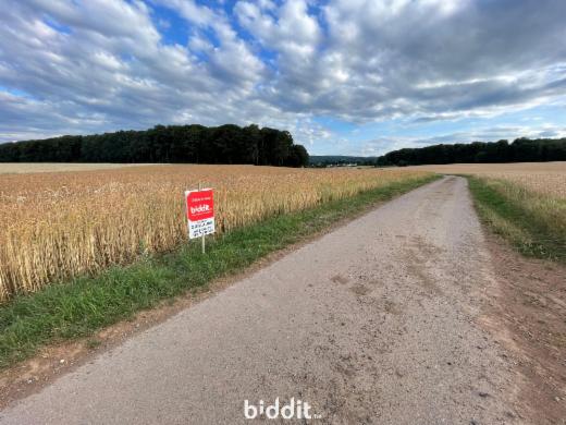 Eerste alternatieve foto van het pand