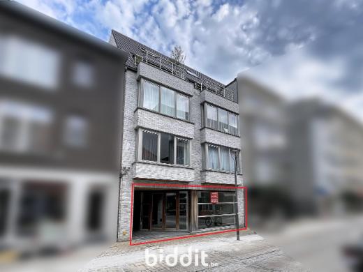 Presentatiebeeld van het pand n° 289820