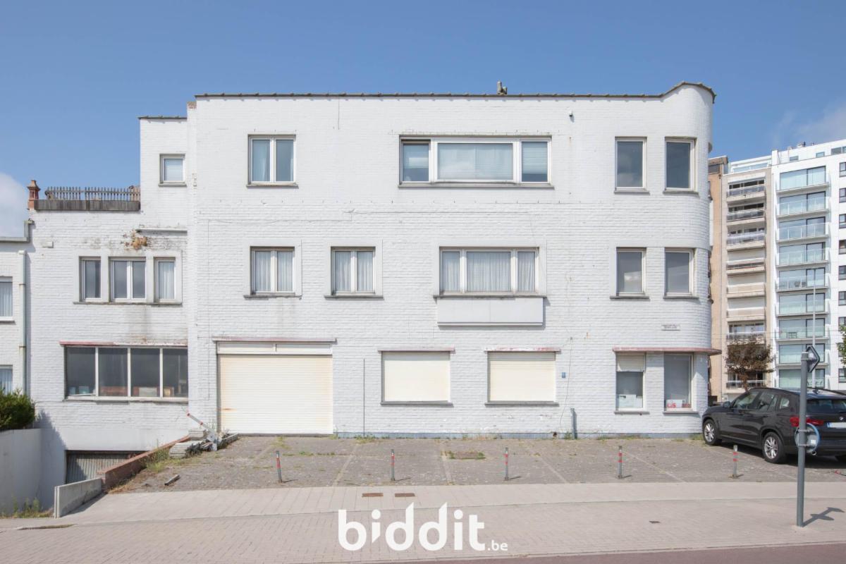 Presentatiebeeld van het pand n° 299754