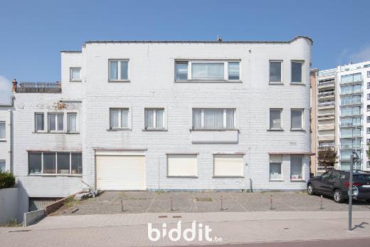 Presentatiebeeld van het pand n° 299754