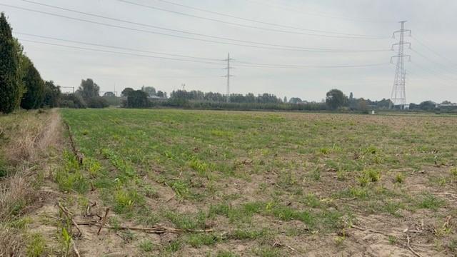 Presentatiebeeld van het pand n° 302607