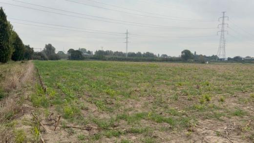 Presentatiebeeld van het pand n° 302607