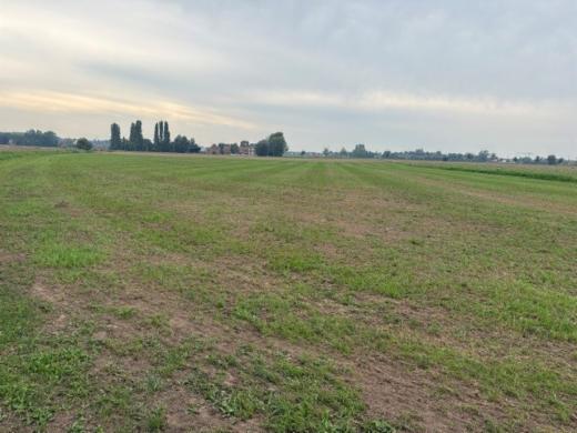 Derde alternatieve foto van het pand