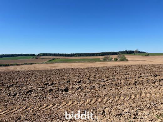 Eerste alternatieve foto van het pand
