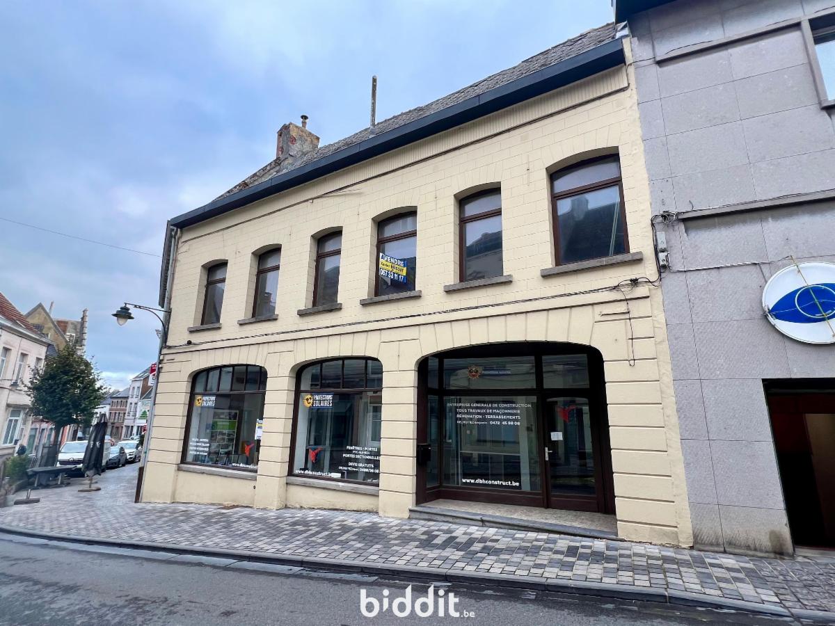 Presentatiebeeld van het pand n° 291787