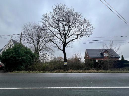 Presentatiebeeld van het pand n° 292744