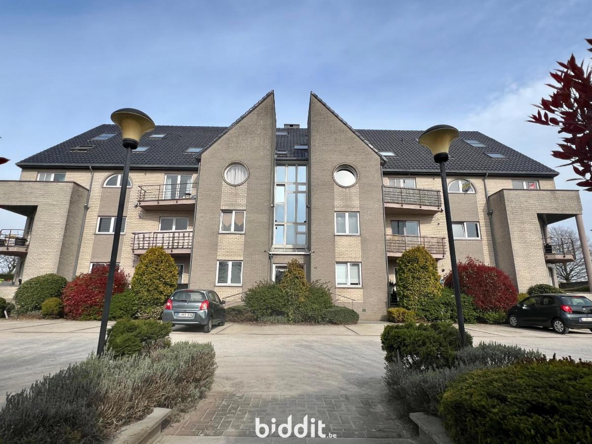 Presentatiebeeld van het pand n° 294491