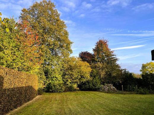 Derde alternatieve foto van het pand