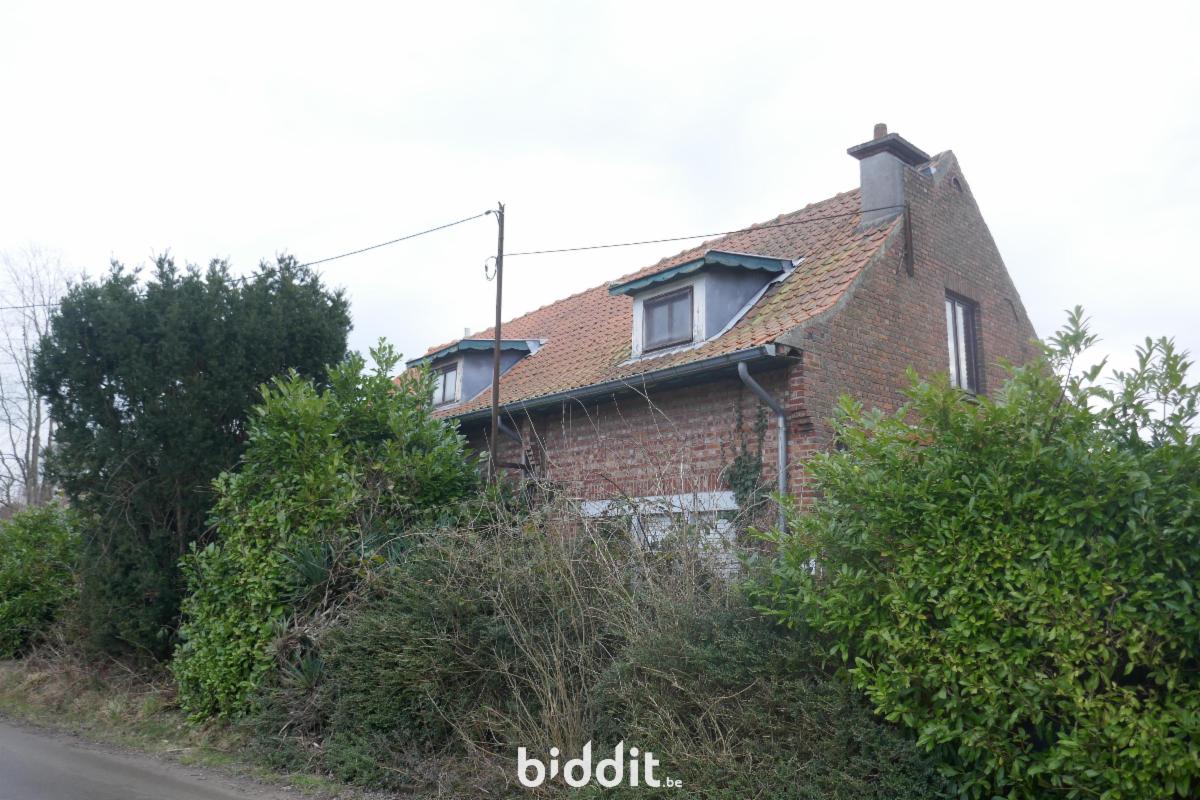 Presentatiebeeld van het pand n° 290646