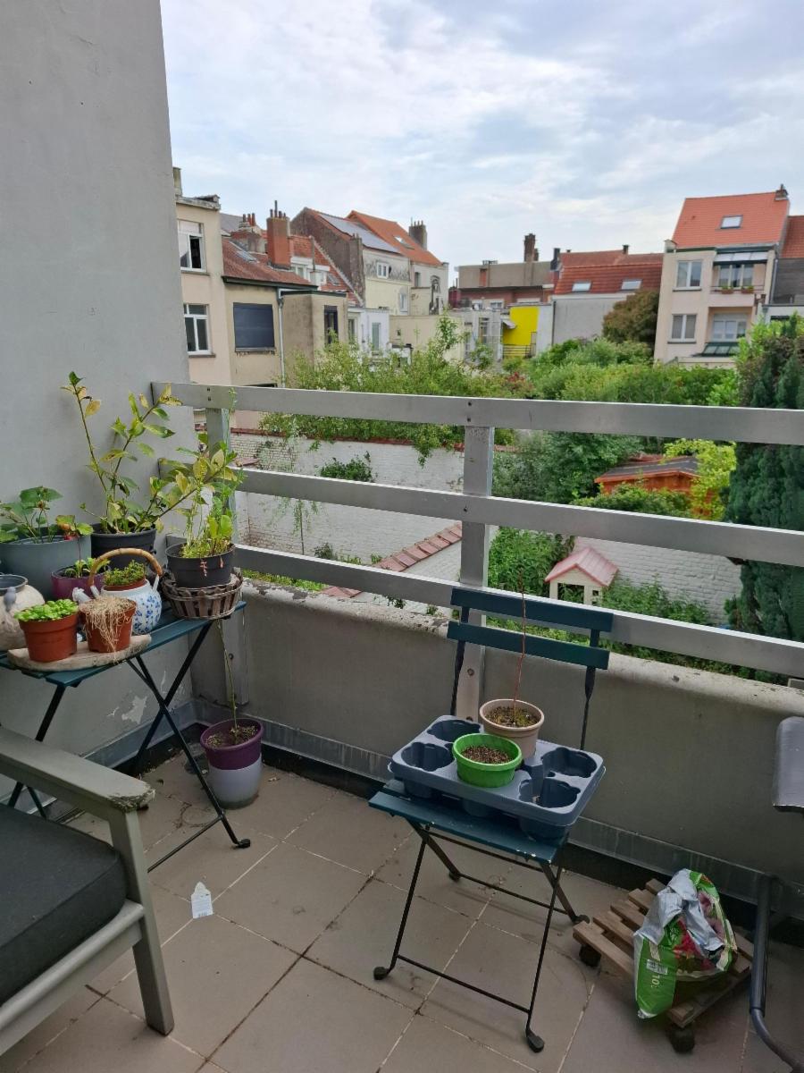 Presentatiebeeld van het pand n° 292064