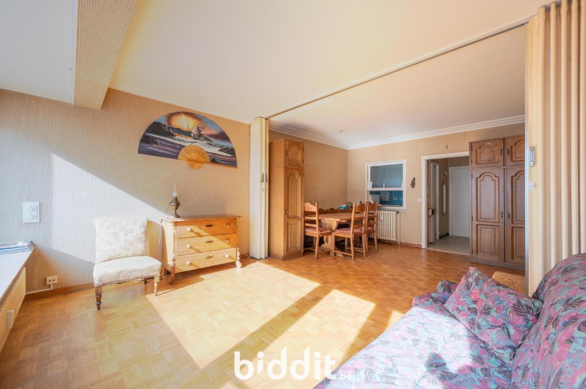 Presentatiebeeld van het pand n° 294420