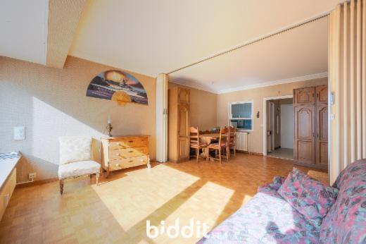 Presentatiebeeld van het pand n° 294420