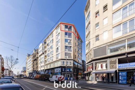 Presentatiebeeld van het pand n° 295627