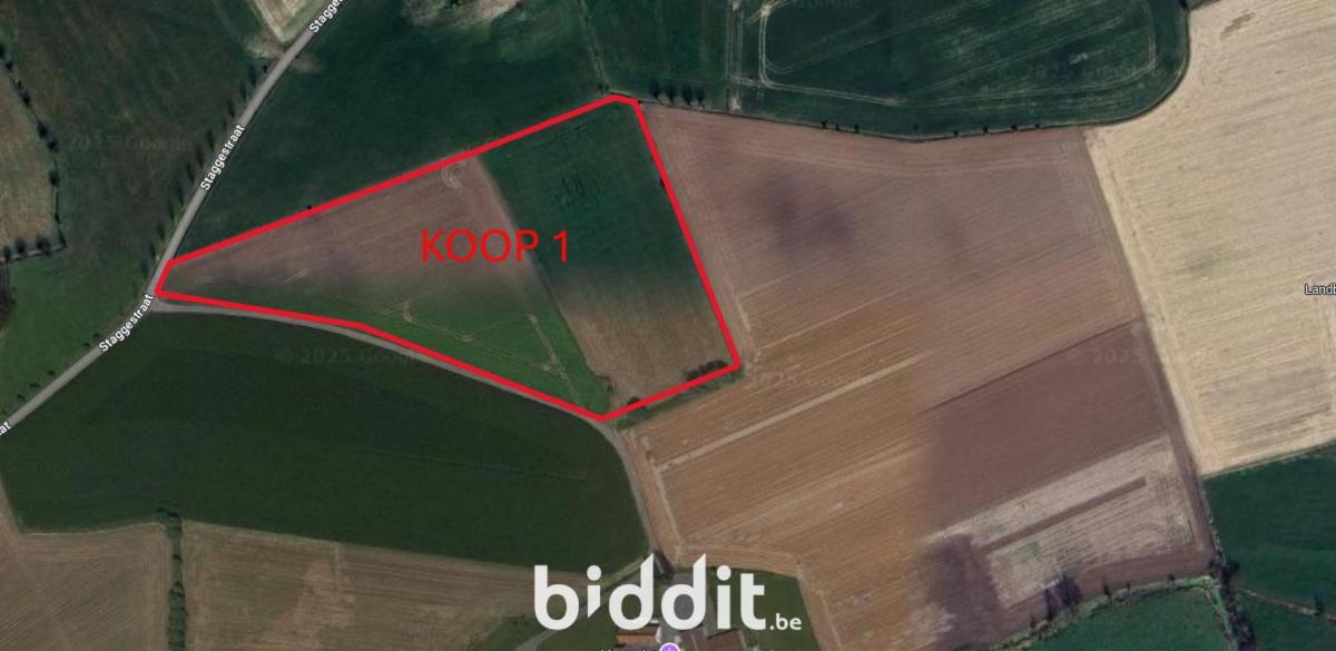 Presentatiebeeld van het pand n° 291877