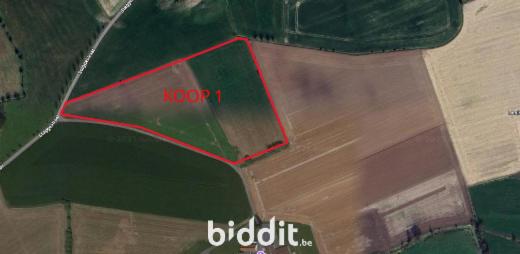 Presentatiebeeld van het pand n° 291877