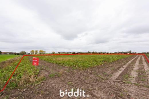 Eerste alternatieve foto van het pand