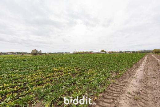 Tweede alternatieve foto van het pand