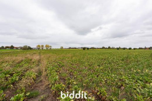 Derde alternatieve foto van het pand