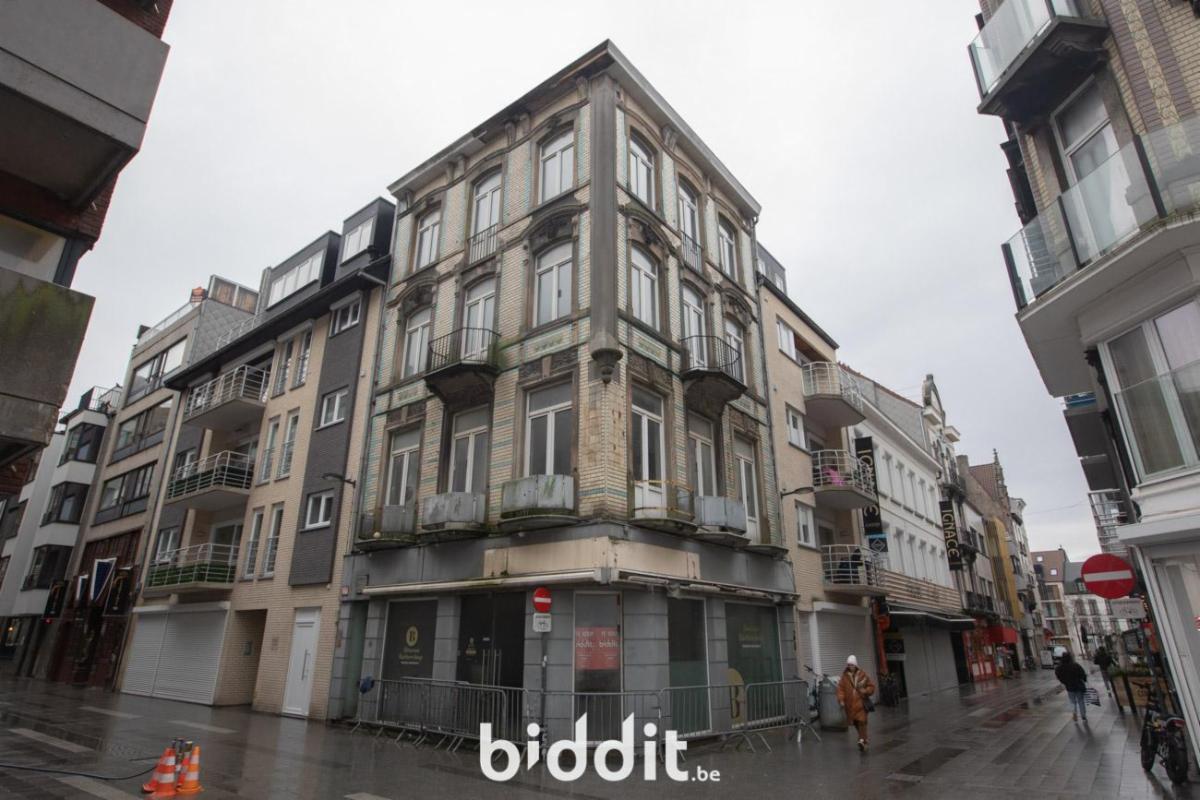 Presentatiebeeld van het pand n° 291449