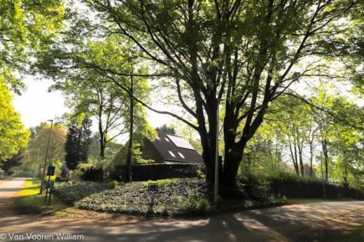 Presentatiebeeld van het pand n° 283769