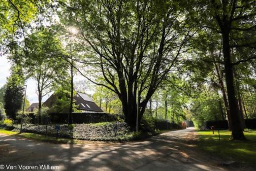 Eerste alternatieve foto van het pand
