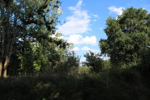 Tweede alternatieve foto van het pand