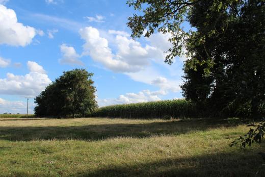 Derde alternatieve foto van het pand