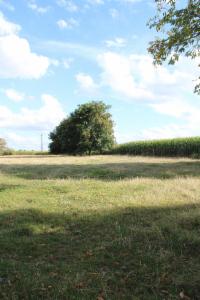 Presentatiebeeld van het pand n° 286896