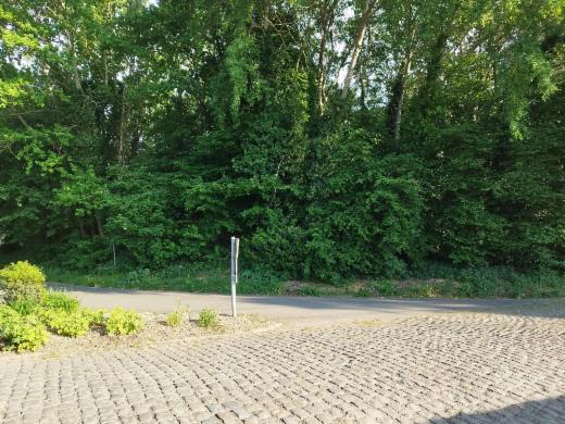Tweede alternatieve foto van het pand