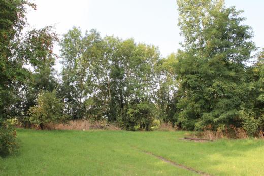 Eerste alternatieve foto van het pand