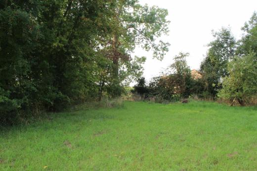 Tweede alternatieve foto van het pand