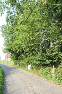 Presentatiebeeld van het pand n° 288472
