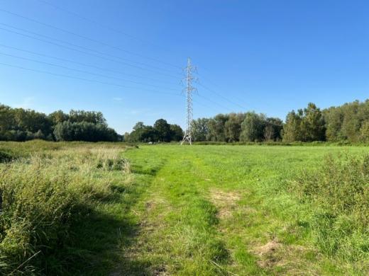 Presentatiebeeld van het pand n° 303097