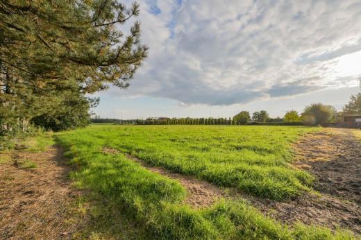 Eerste alternatieve foto van het pand