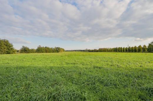 Derde alternatieve foto van het pand