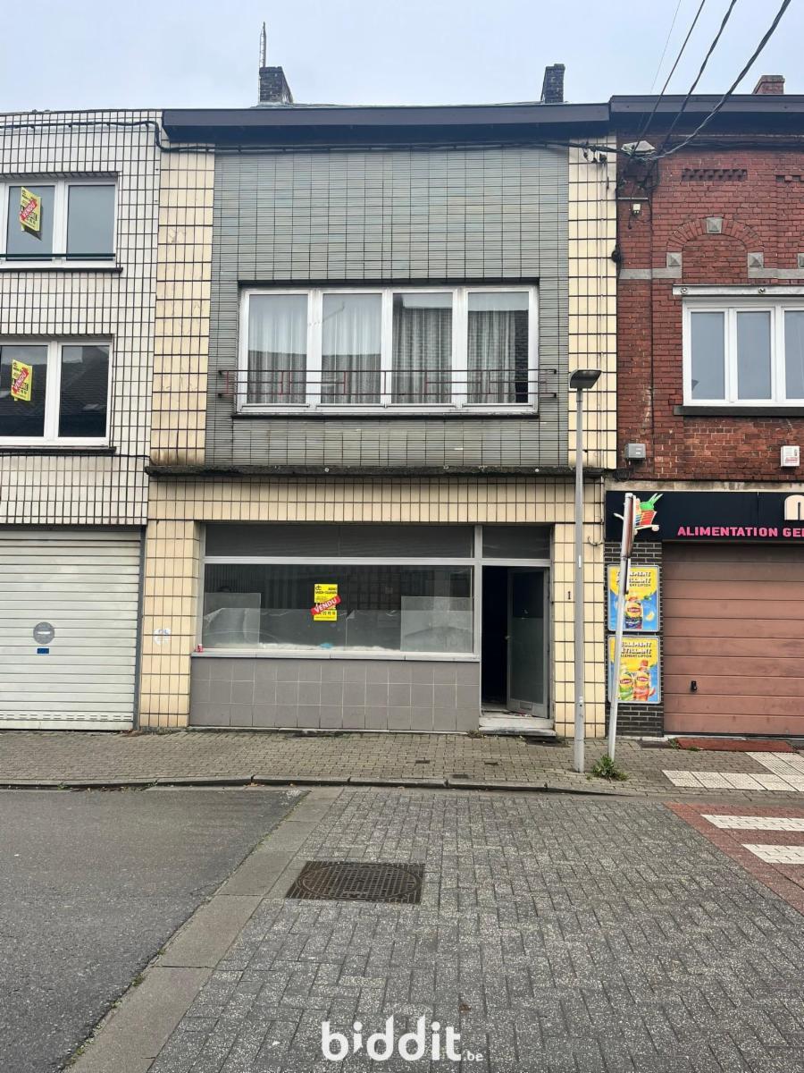 Presentatiebeeld van het pand n° 294383