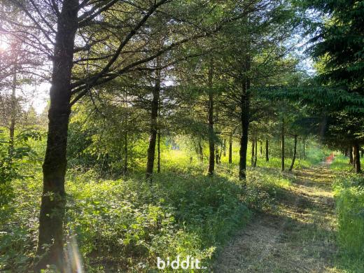 Tweede alternatieve foto van het pand