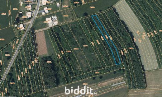 Presentatiebeeld van het pand n° 289066