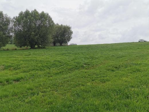 Eerste alternatieve foto van het pand