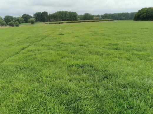 Tweede alternatieve foto van het pand